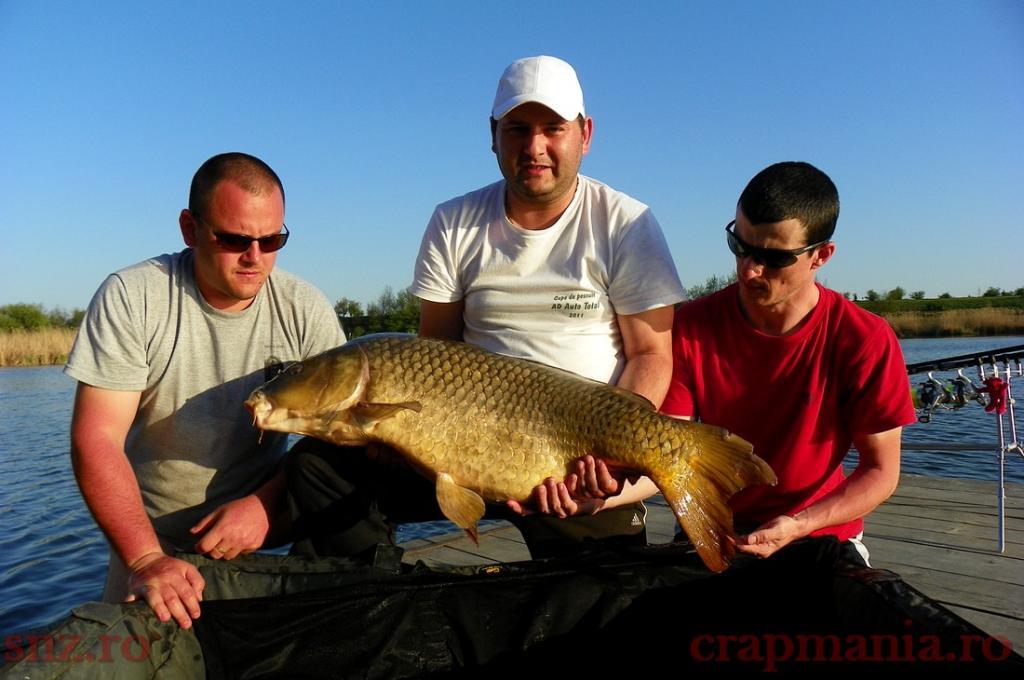 Trofeul tancabesti 2013 - 1010310.jpg